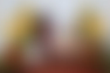 17.08.2019.Philippine Canine Club Inc.
191st & 192nd FCI All Breed Championship Dog Shows