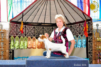 09-10.04.2016 2хCACIB "Созвездие Азии" Бишкек, Киргизия