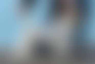 16&18.11.2018 2xInternational Dog Show in Italy