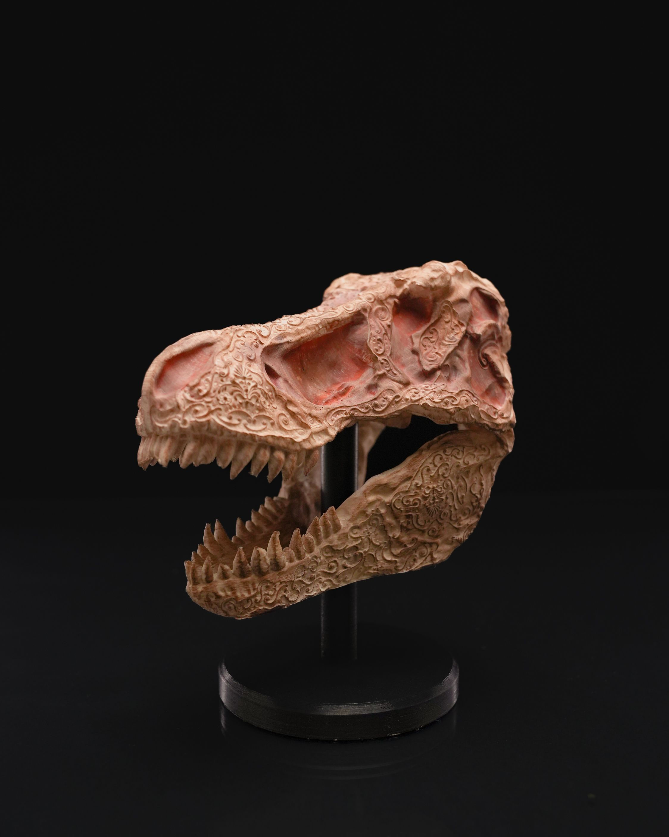 T-Rex Skull