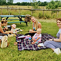 picnic.jpg
