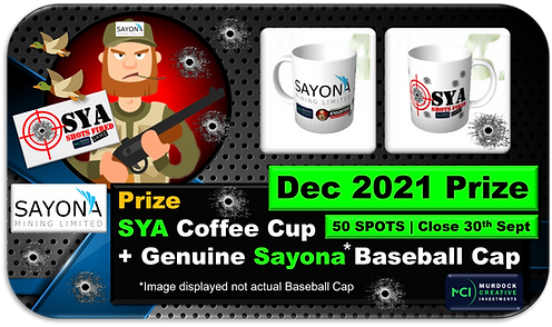 web ad.jpg.png
