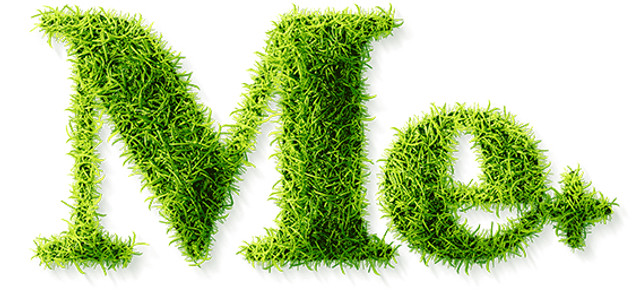 Meet Events - Me Grass.jpg
