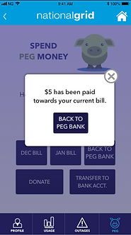 Screen Shot 2019-01-22 at 1.54.09 PM.png