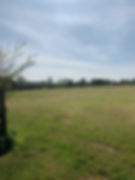IMG_0585.jpeg