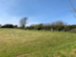 IMG_0584.jpeg