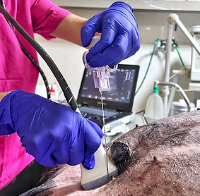 Estamos de férias (9)_edited.jpg