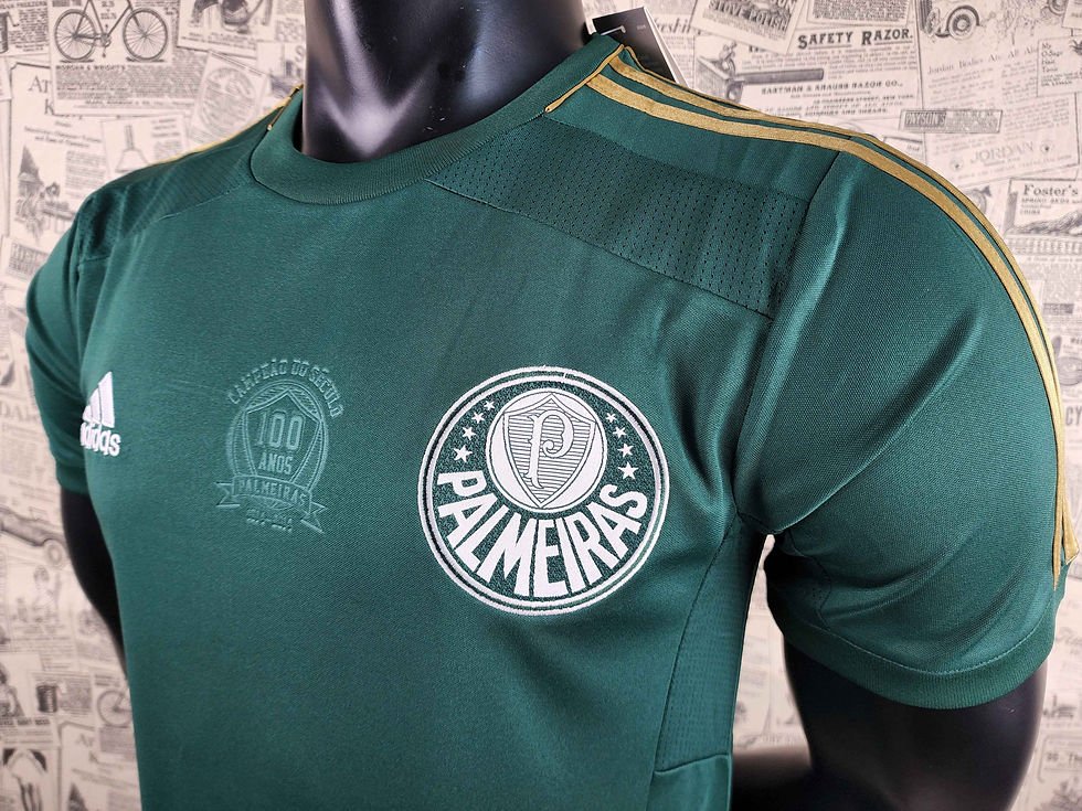Miniatura: Palmeiras Verde 2014/15 | Retrô