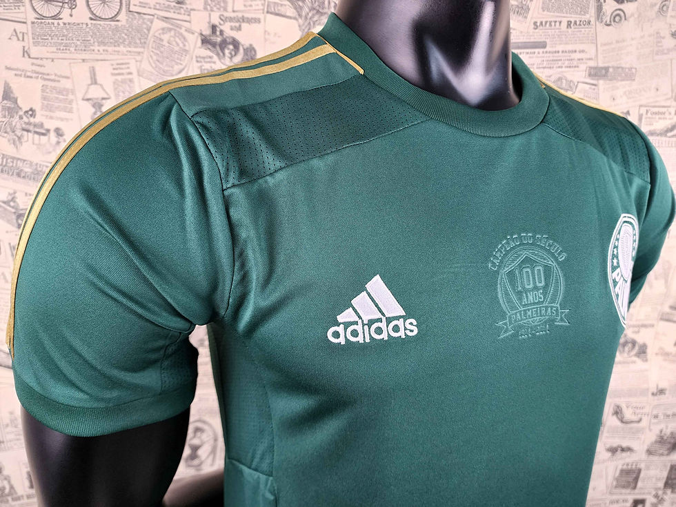 Miniatura: Palmeiras Verde 2014/15 | Retrô