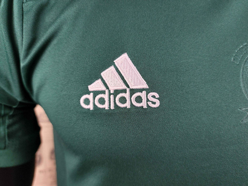 Miniatura: Palmeiras Verde 2014/15 | Retrô