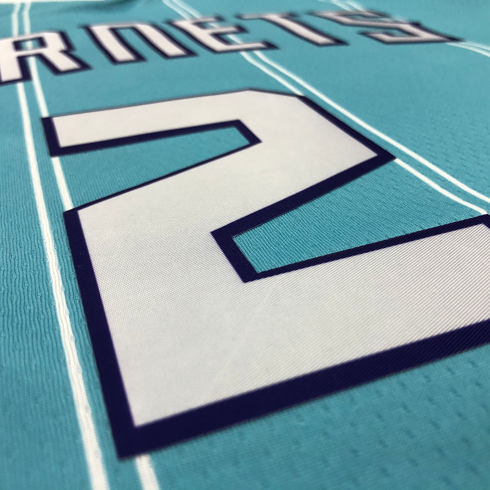 Miniatura: Charlotte Hornets Azul | NBA Jordan