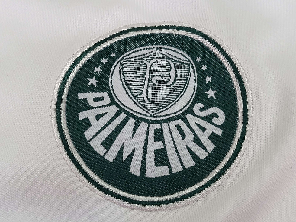 Miniatura: Palmeiras Branco 22/23