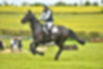 XC3_6024WEB