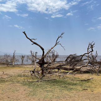 Landschaft Tansania,  Foto: Tina Kissling