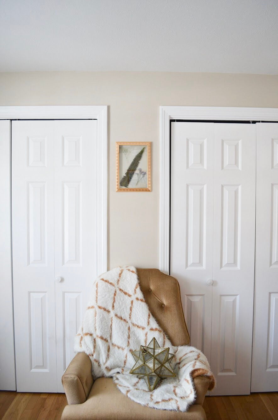 Fern with Babies Breath