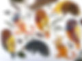 Kids_Autumn_Art_Class_ATDW.jpg