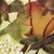 Thumbnail: The birds world