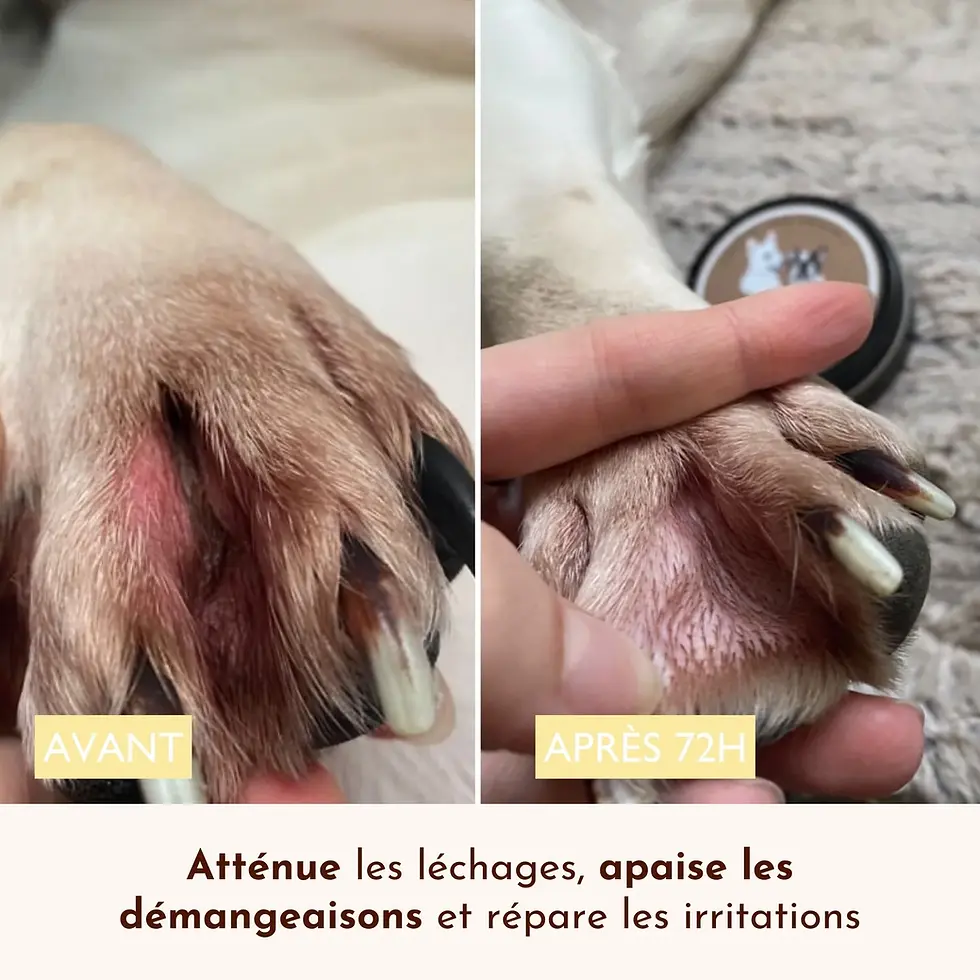 Miniature : Baume Miraculeux