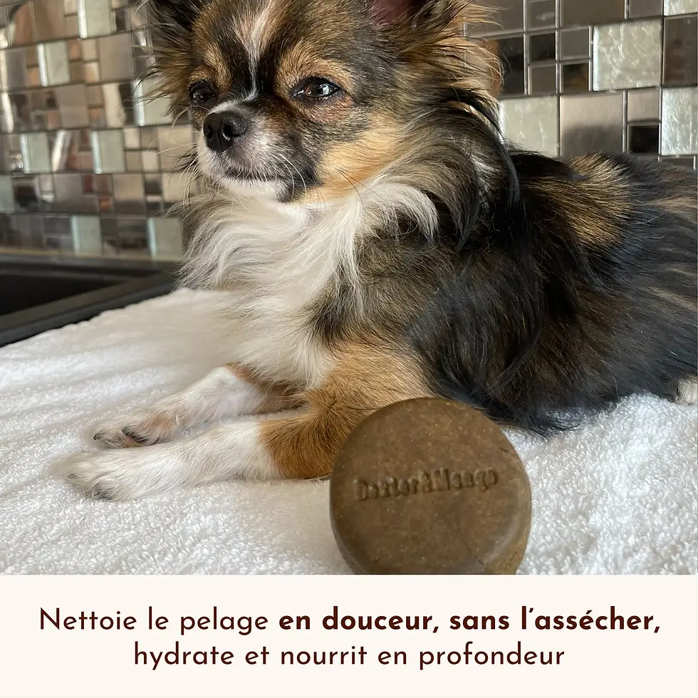 Miniature : Shampoing solide P'tit mousse