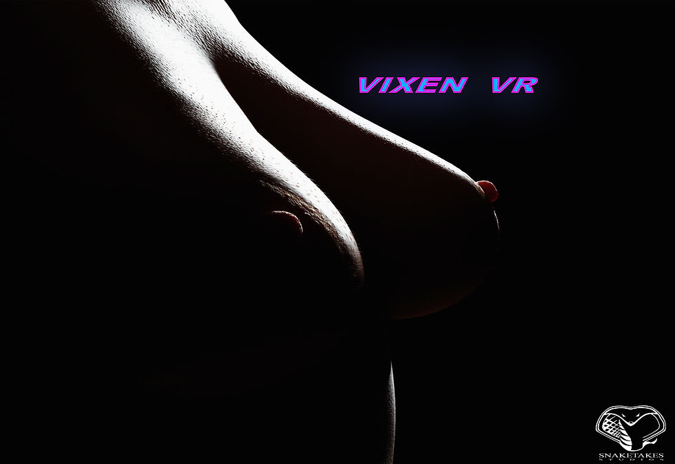 VixenVR_Titlescreen