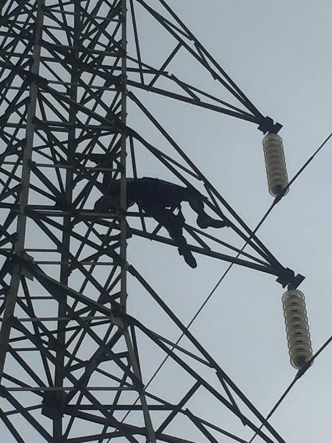 Produtores rurais encontram corpo de homem em torre de alta tensão em Resende