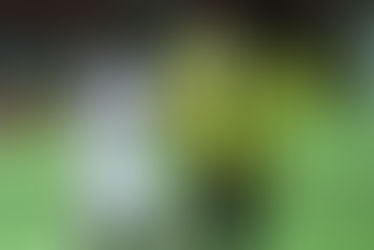 Voltaço empata em casa contra o Flamengo