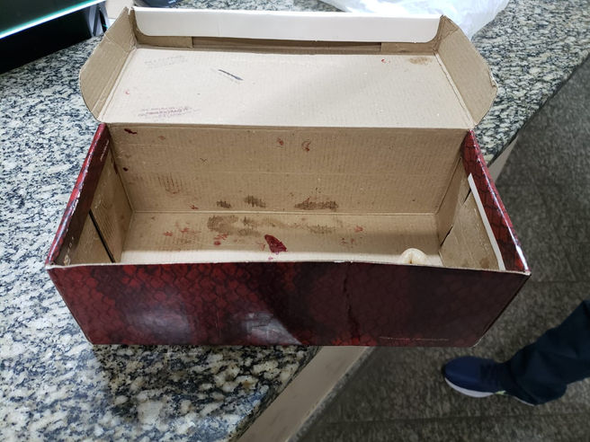 Recém-nascido é abandonado dentro de caixa de sapato, em Volta Redonda