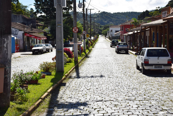 Festa do Pinhão começa nesta sexta