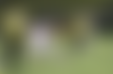 Voltaço inicia reformulação do elenco para a Série C