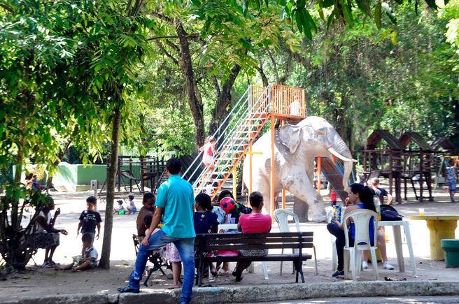 Zoológico Municipal de Volta Redonda recebe milhares de pessoas no feriado