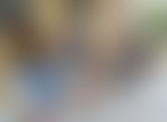 Volta Redonda dobra castração para cães e gatos