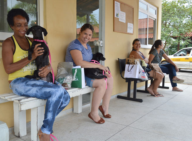 Volta Redonda dobra castração para cães e gatos