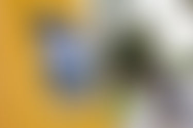 Em Volta Redonda, agência dos Correios é arrombada