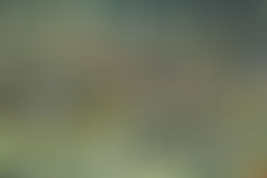 Promoção de ingressos é mantida e Voltaço pede o apoio da torcida para o jogo contra o Ypiranga-RS