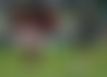 Grandes do Rio entram em campo pela oitava rodada do brasileirão