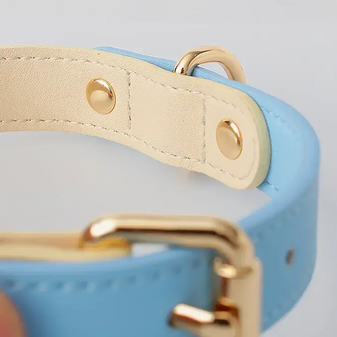 Thumbnail: Leather Dog Collar