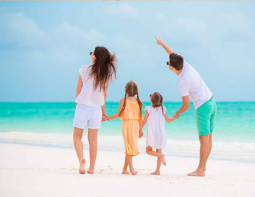 Family walking on the beach shore looking at birds in the sky