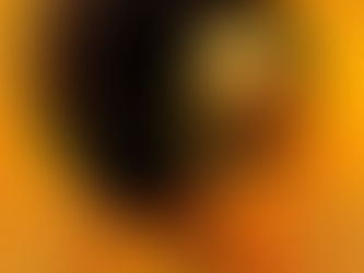 A Importância da Mulher no Culto de Ifá