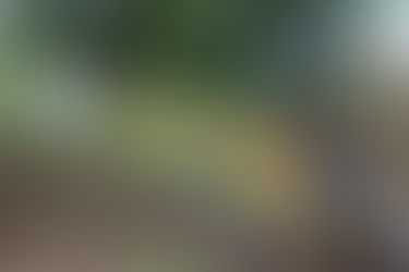 GOBIERNO DE XICOHTZINCO  REALIZA TRABAJOS DE DESAZOLVE EN BARRANCAS POR TEMPORADA DE LLUVIA.