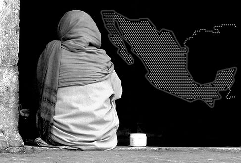 ENTRE 25 Y 30 MILLONES DE MEXICANOS ESTÁN EN RIESGO DE RECAER EN LA POBREZA: PNUD