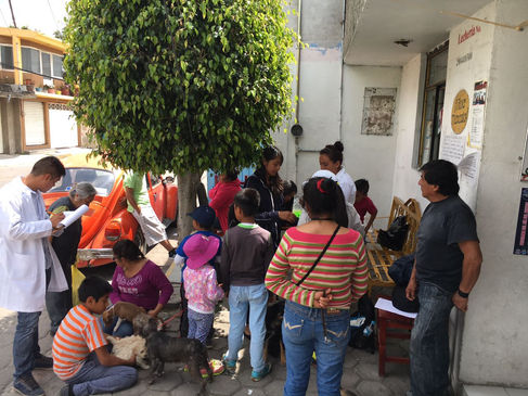 Inicia Última Semana Nacional de Vacunación Antirrábica de perros y gatos en Zacatelco