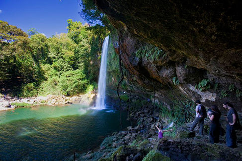 DESAPARECEN ESTUDIANTES DE UDEG TRAS METERSE A CASCADA EN CHIAPAS