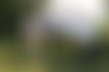 RECORRE CEPC ÁREAS DE DESAZOLVE EN ZACATELCO