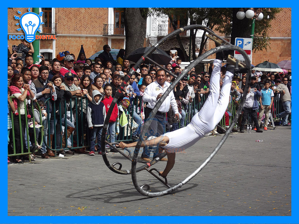 desfile24