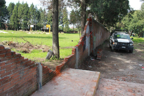 PROTECCIÓN CIVIL DE XICOHTZINCO,  ATIENDE DERRUMBE DE ÁRBOL EN LA ESCUELA SECUNDARIA RAUL ISIDRO BUR