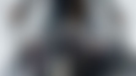 ANIMALES FANTÁSTICOS: LOS CRÍMENES DE GRINDELWALD.   