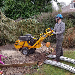 Stump Grinding.jpeg