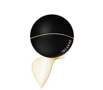 Logo incarne.png