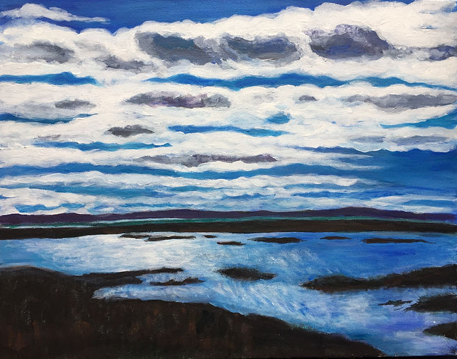 IMG_0544*PLum Island 1.jpeg