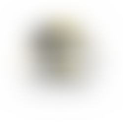 Logo Mon Pet'Sitter En Roannais, service de garde d'animaux sur roanne